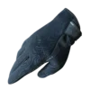 Γάντια Nordcode Neoprene μαύρο